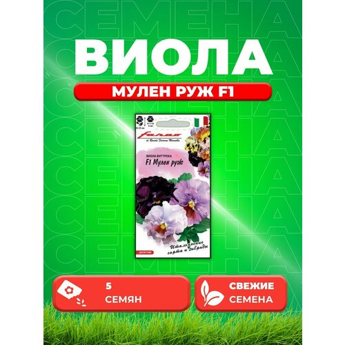 Виола Мулен руж F1 Виттрока съедобная, срезочная 5 шт.