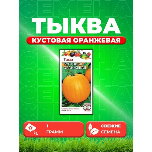 Тыква Кустовая оранжевая 1,0 г семена тыква кустовая оранжевая 2 г