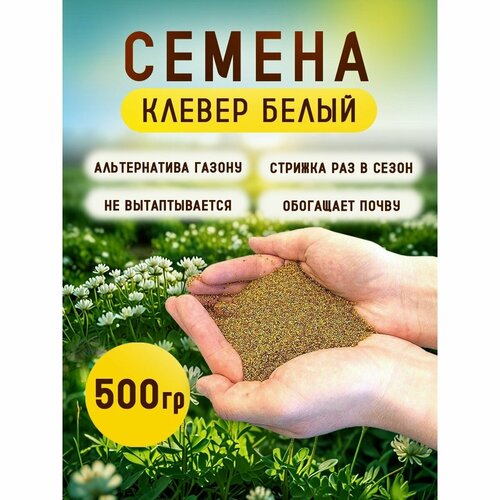 Семена клевера белого 500г