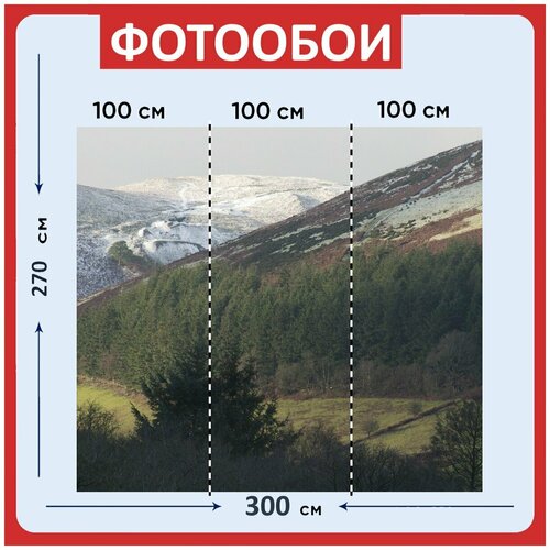 Фотообои Уэльс великобритания природа 300x270 см флизелиновыена стену 3940₽