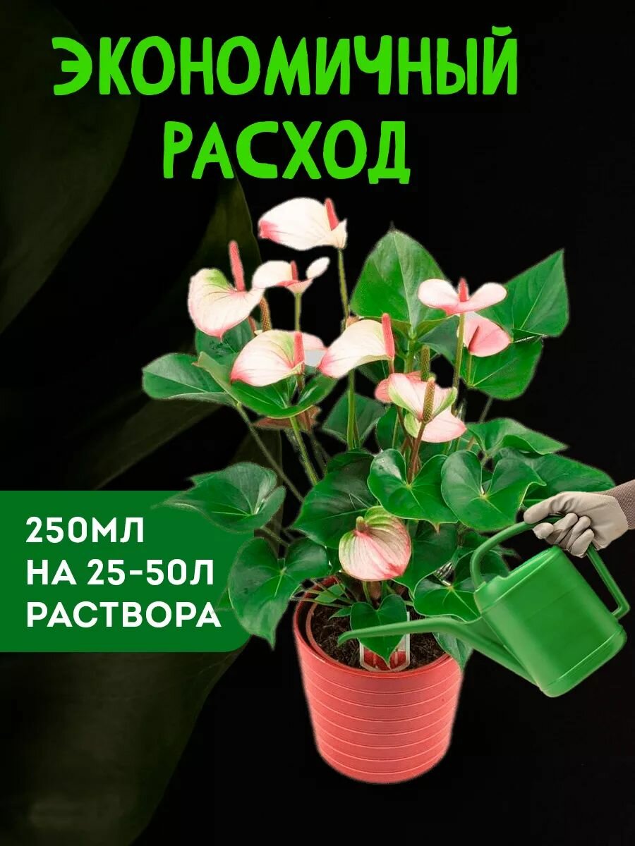 Удобрения Для Растений Удобрение Агрикола от пожелтения листьев 250 мл.