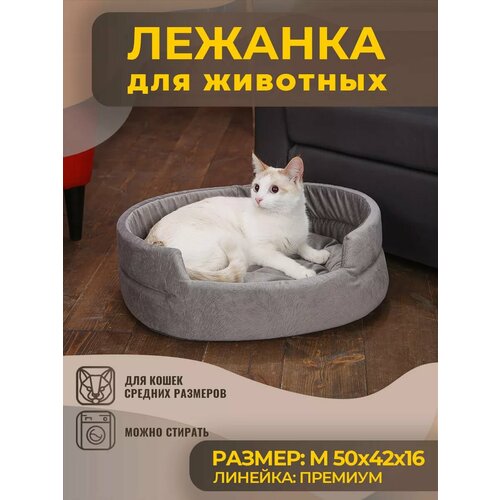 Лежанка для Собак и Кошек Средних, Велюр