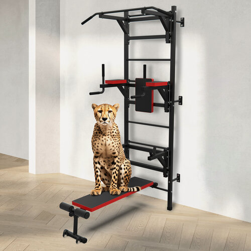 Изображение товара Шведская стенка с опциями DFC D-12345