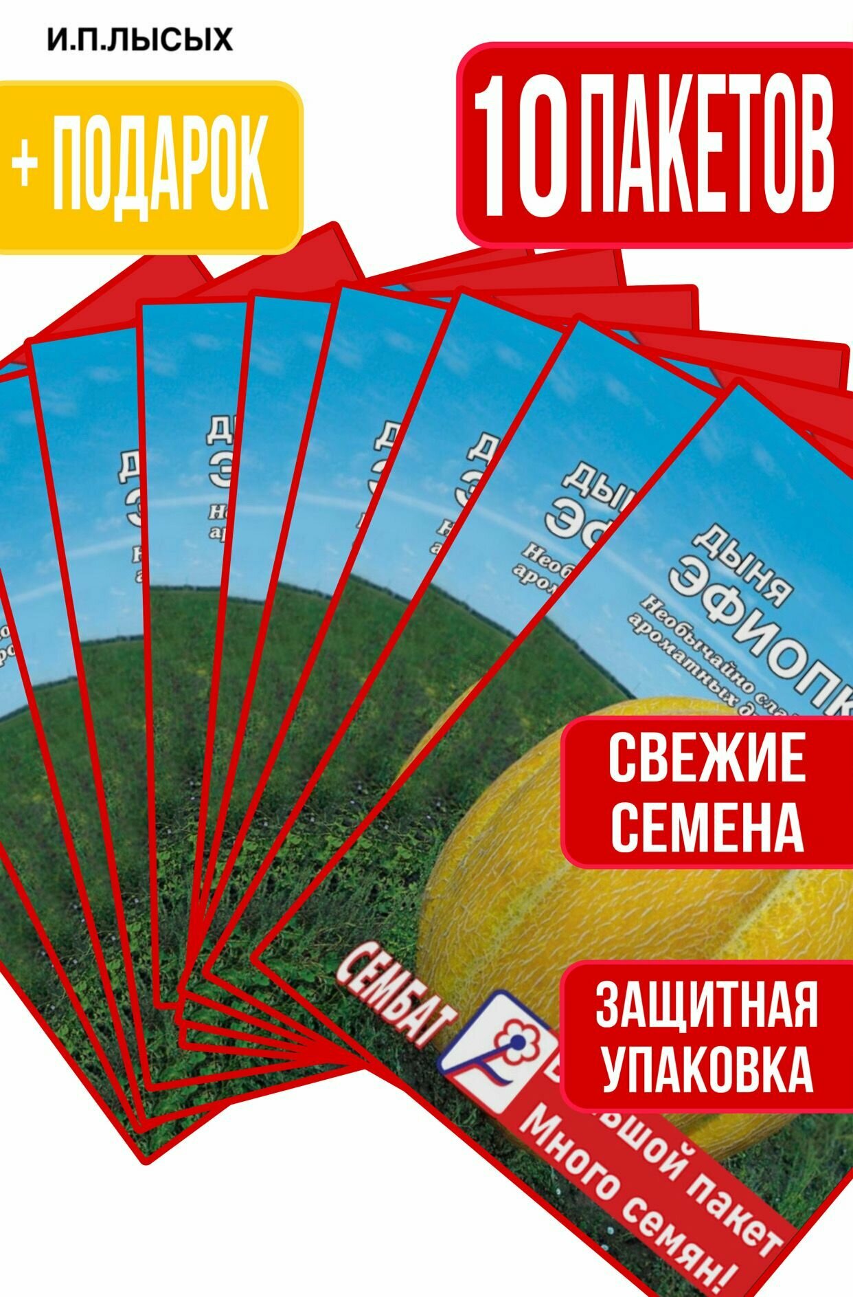 Семена Дыня Эфиопка