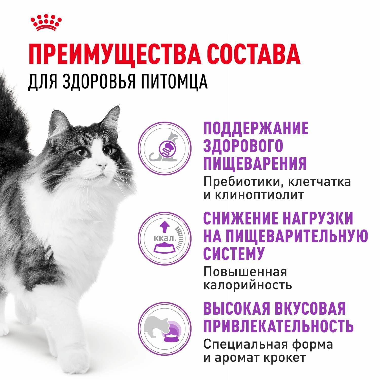 Royal Canin Корм сухой сбалансированный для взрослых кошек с чувствительной пищеварительной системой, Sensible 33, 400 г — фото 1