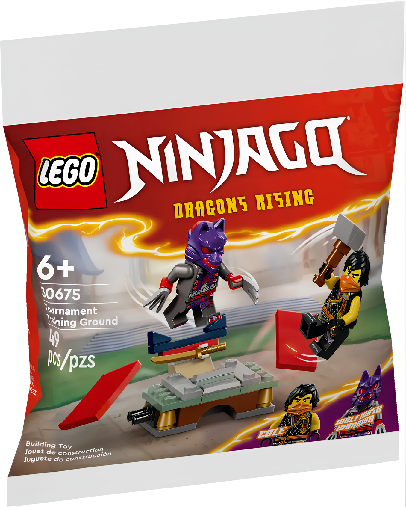 Конструктор LEGO Ninjago 30675 Тренировочная площадка турнира и битва за храм Кая и Раптона