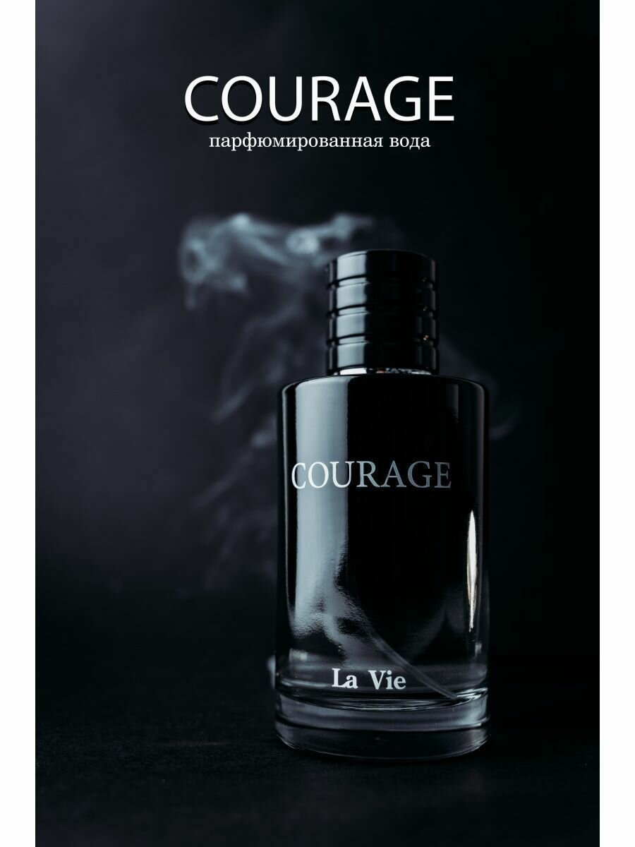 La Ville Парфюмерная вода мужская DILIS "Courage"(Кураж) 100 мл — фото 1