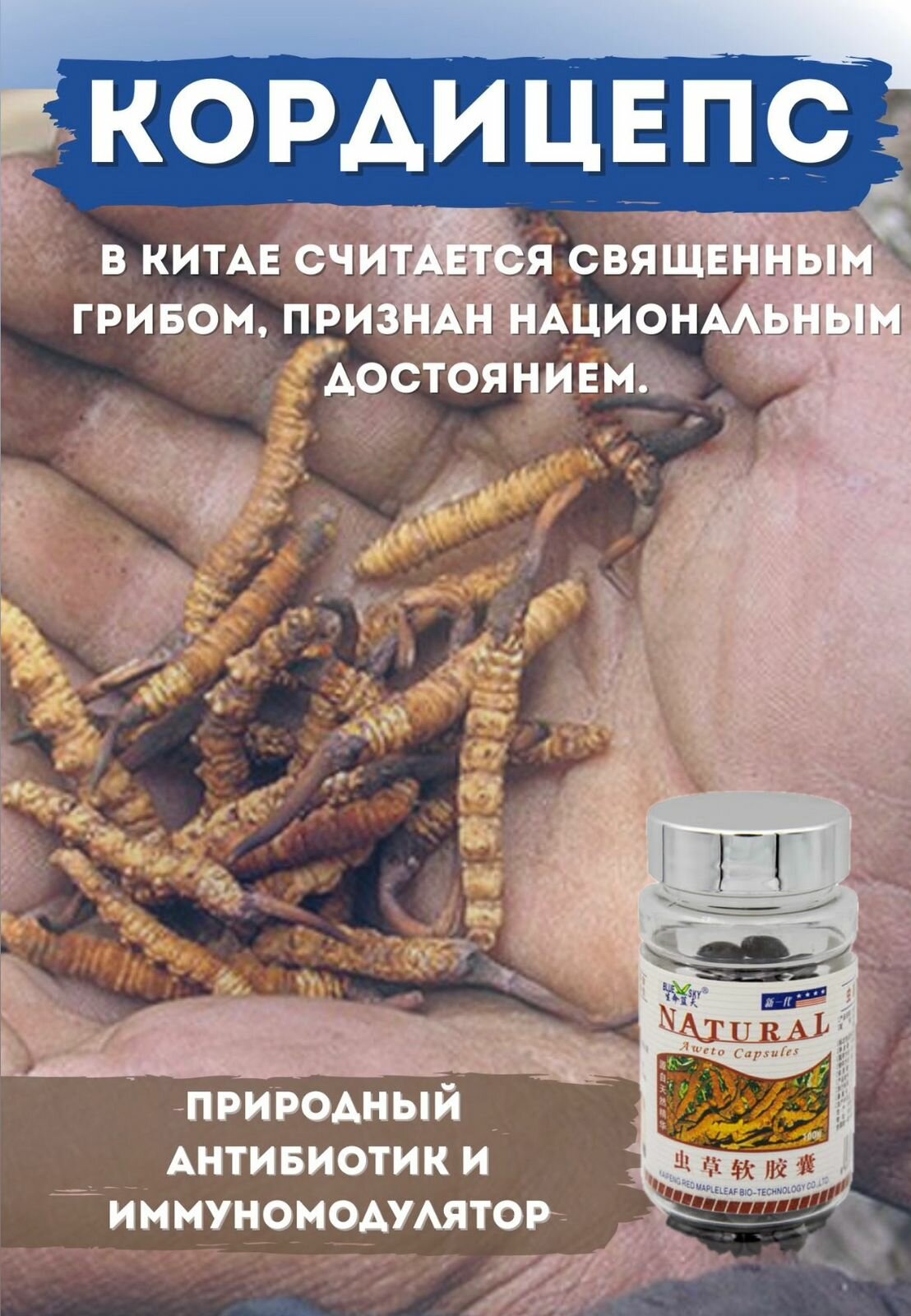 Изображение Капсулы "Кордицепс" для профилактики простуды и гриппа, укрепления иммунитета 500 мл х 100 шт.