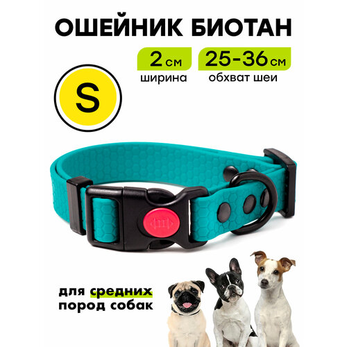 Ошейник из биотана 25-36 см (S), 20 мм, Woofy "Iron" водостойкий, для небольших и средних собак, бирюзовый
