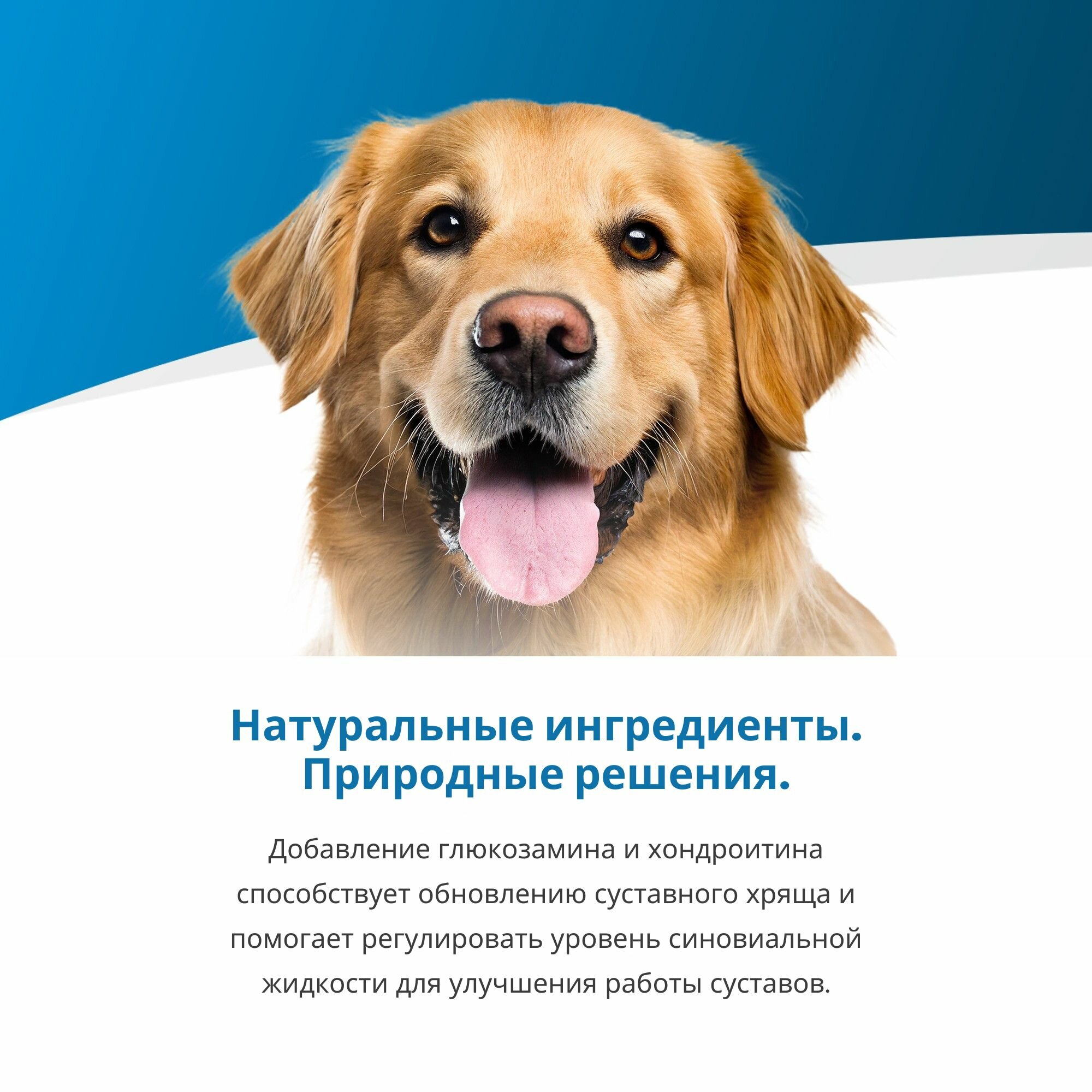 Корма Для Собак Xiaomi Сухой диетический корм Farmina Vet Life Joint для собак с заболеваниями опорно-двигательного аппарата, 12 кг