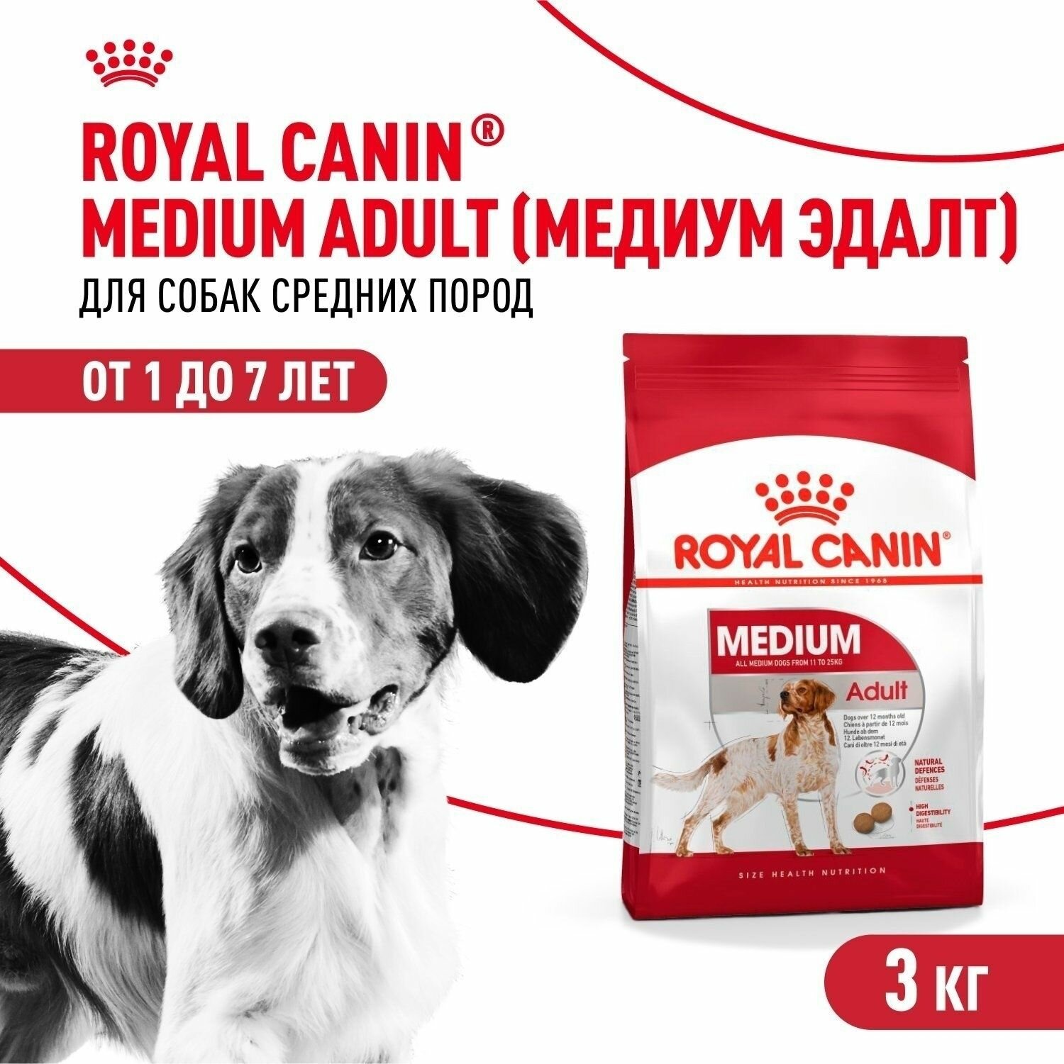 Royal Canin Medium Adult - Сухой корм для собак средних пород с 12 месяцев до 7 лет (3 кг)