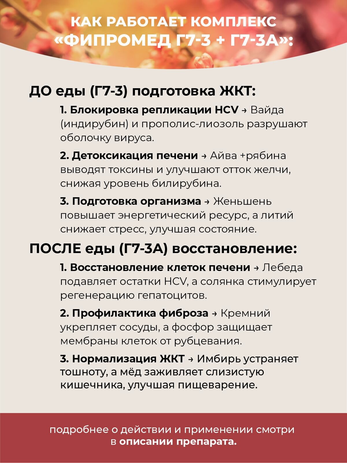 Изображение Фипромед Г7-3A Хронический вирусный гепатит С, 50 мл
