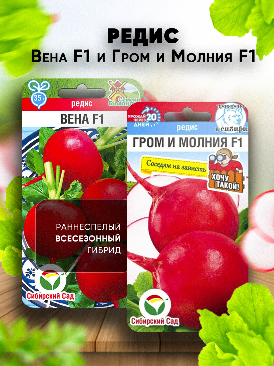 Редис Вена F1 и Гром и молния F1 семена