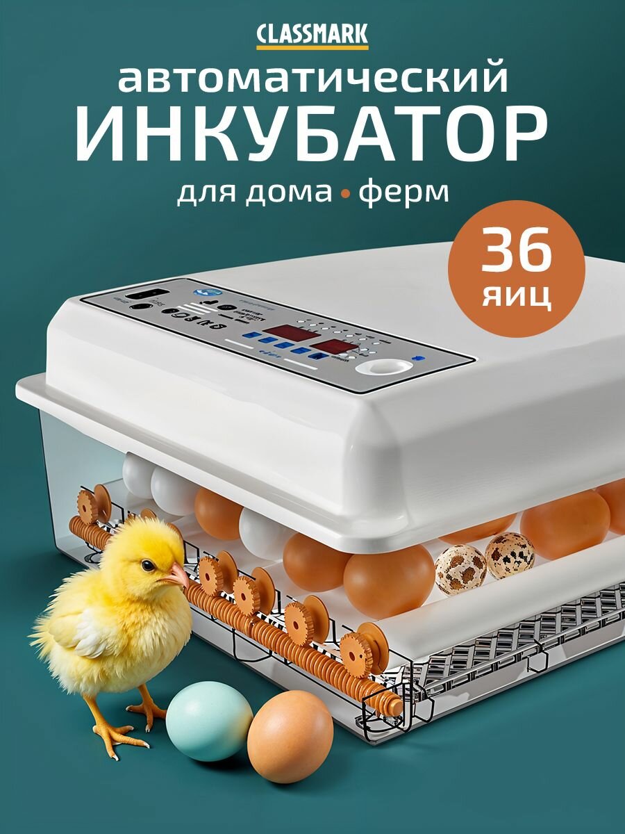 Инкубатор для 36 яиц автоматический Classmark с автоповоротом, терморегулятор и овоскоп, интуитивно понятный интерфейс, белый