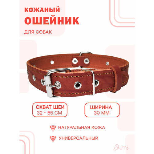 Кожаный ошейник (обхват шеи 32-55 см) для крупной собаки