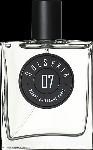 Pierre guillaume solsekia 07 100 ml парфюмерная вода