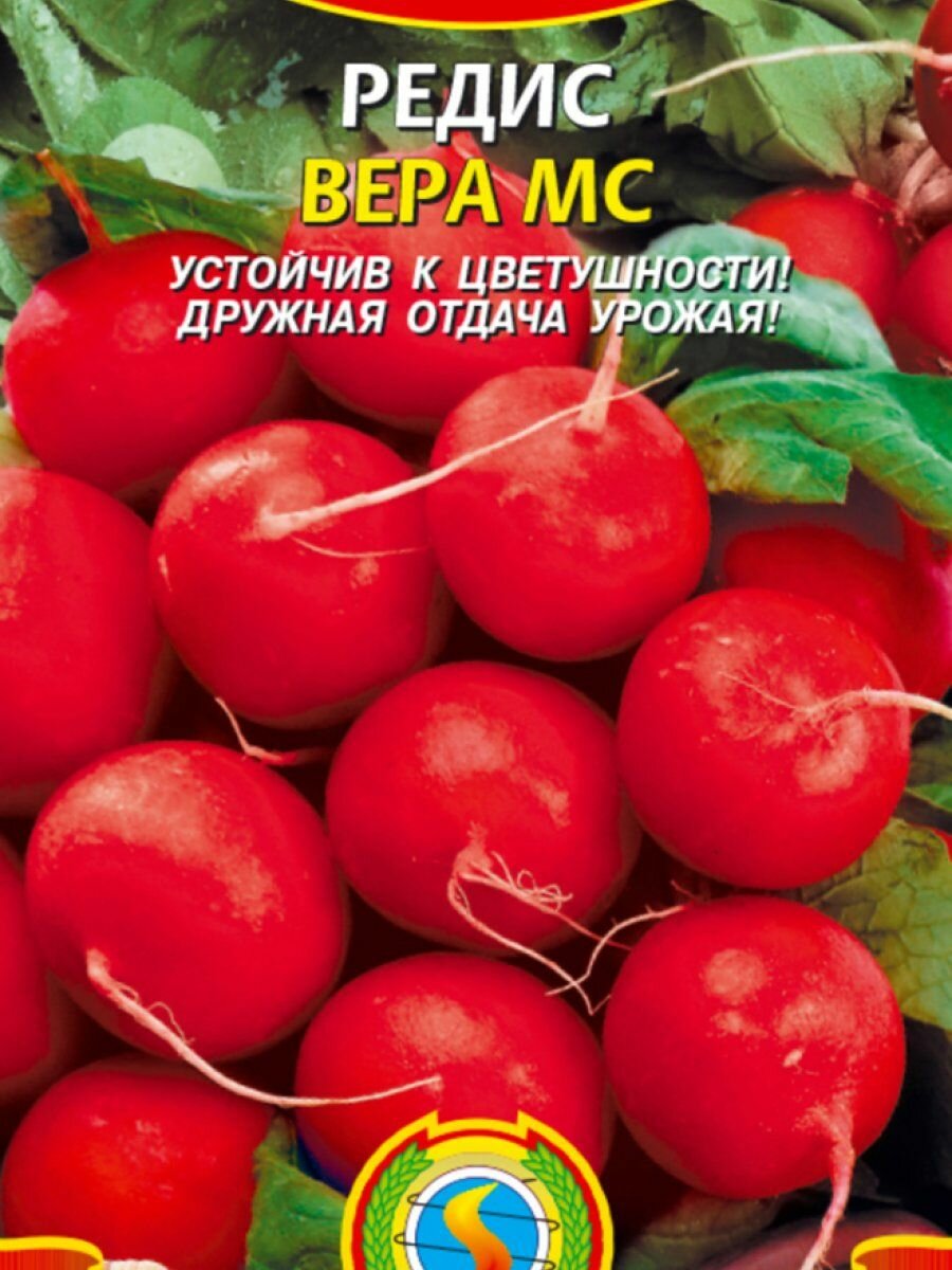 Семена Редис Вера МС 2 гр Плазменные семена