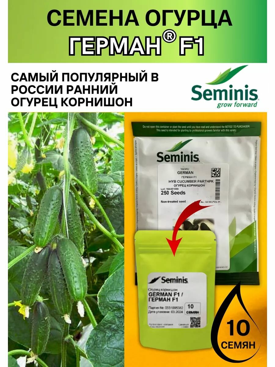 Огурец корнишон Герман F1 10 семян Seminis профессиональные семена