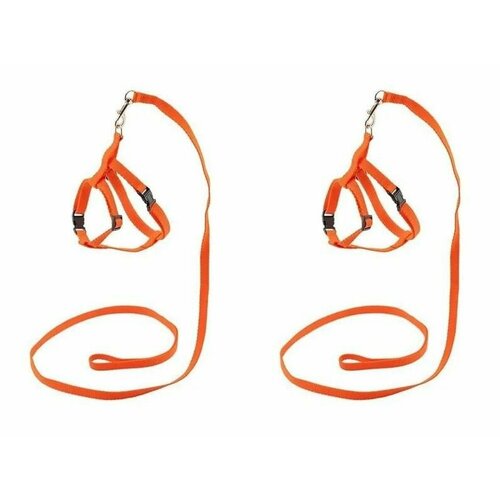 Дарэлл Шлейка + поводок, синтетические, оранжевые, 2 уп