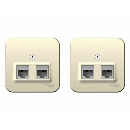 Розетка компьютерная Schneider Electric Blanca BLNIA045452 открытая установка молочная IP20 (2 шт.) розетка компьютерная schneider electric blanca blnia045452 открытая установка молочная ip20 2 шт