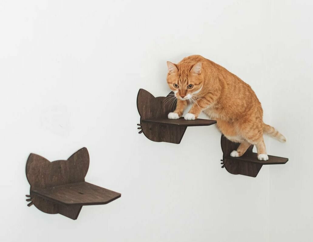Игровой комплекс для кошек настенный, ступеньки лесенка 3 шт для кошки деревянные