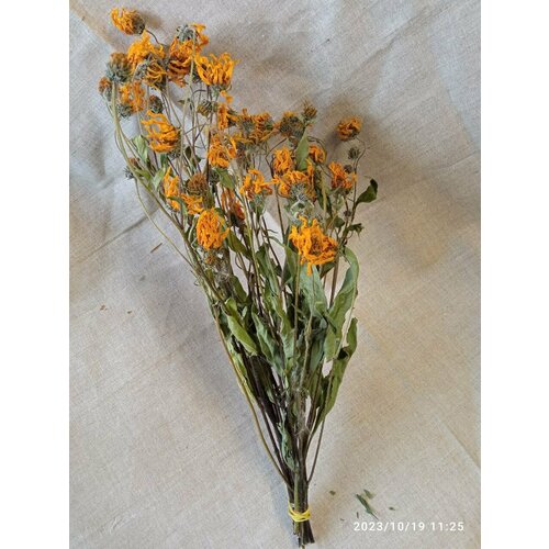 Веник из топинамбура