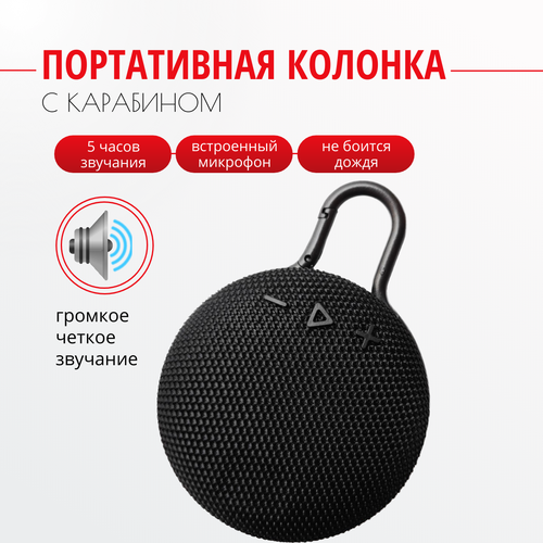 Беспроводная колонка с карабином черный 129000₽