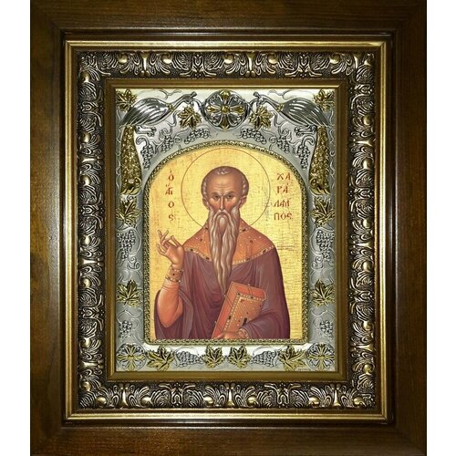 священномученик харалампий магнезийский икона в резной рамке Икона харалампий (Харлампий) Магнезийский, Священномученик