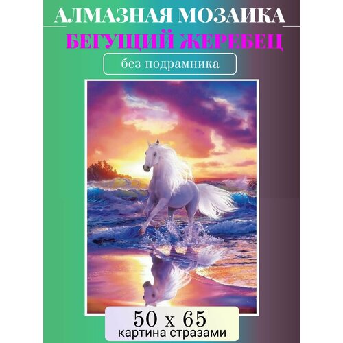 Алмазная мозаика без подрамника 50х65 см