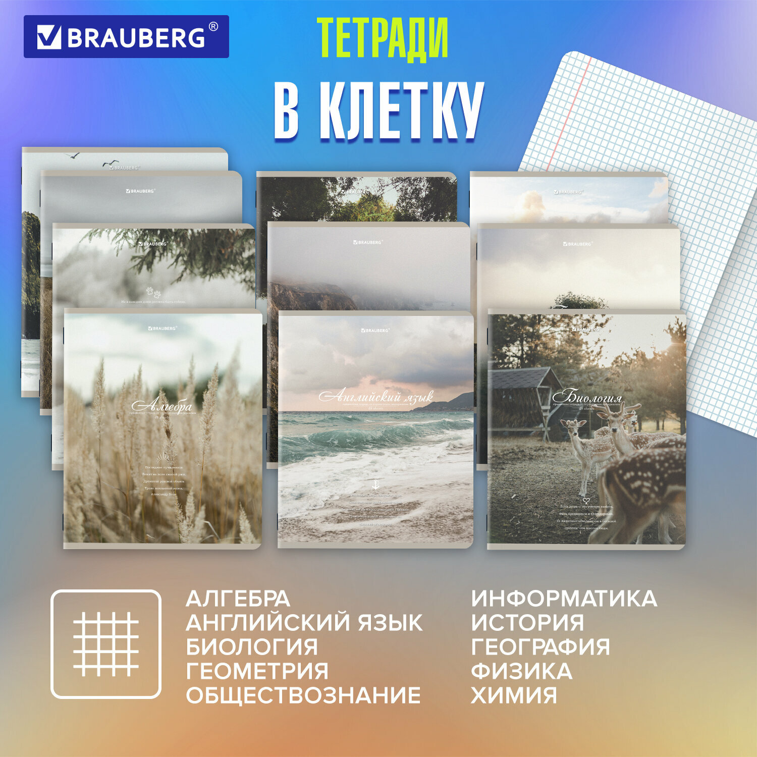 Предметные тетради 48 листов набор A5 в клетку и линейку 12 штук, SoftTouch, мягкая обложка с рисунком, Brauberg Esthetics, 404833 — фото 1
