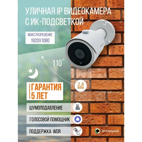 IP видеокамера IPTRONIC IPT-IPL1080BM28P 978500₽