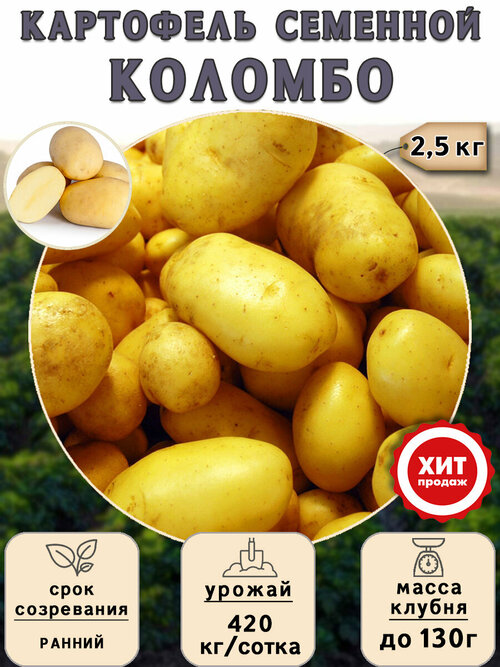 Клубни картофеля на посадку Коломбо (суперэлита) 2,5 кг Ранний