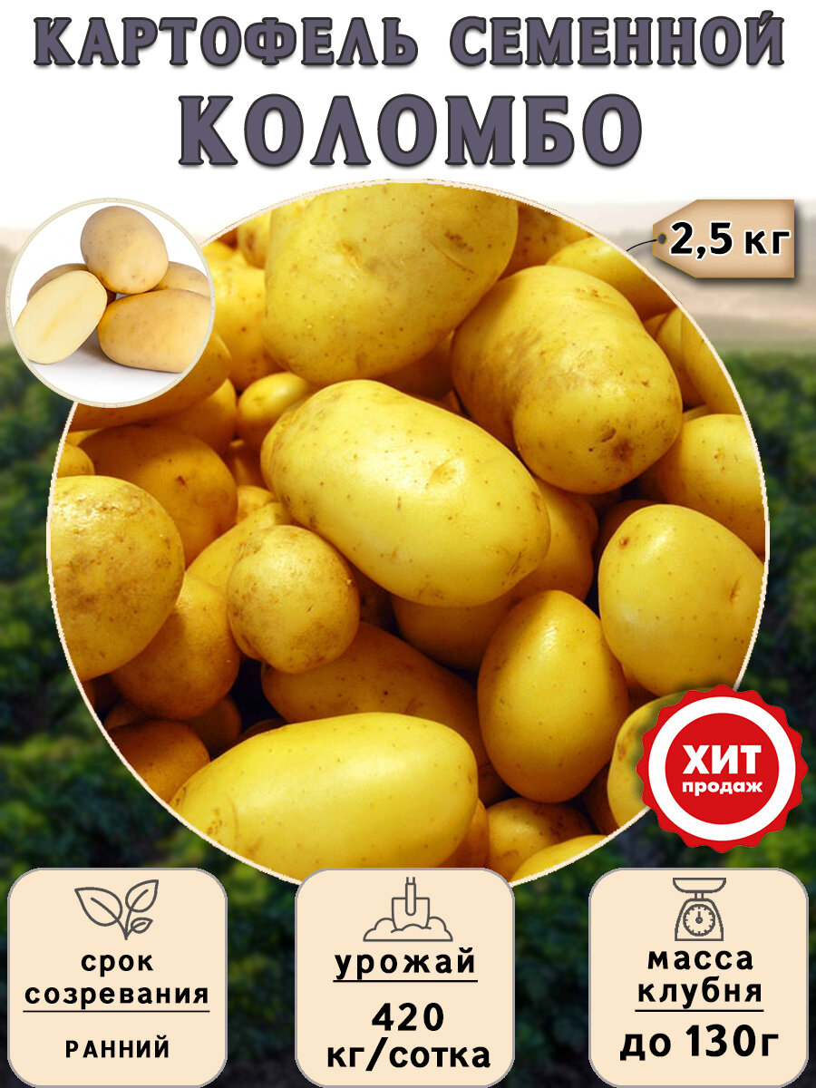 Клубни картофеля на посадку Коломбо (суперэлита) 25 кг Ранний