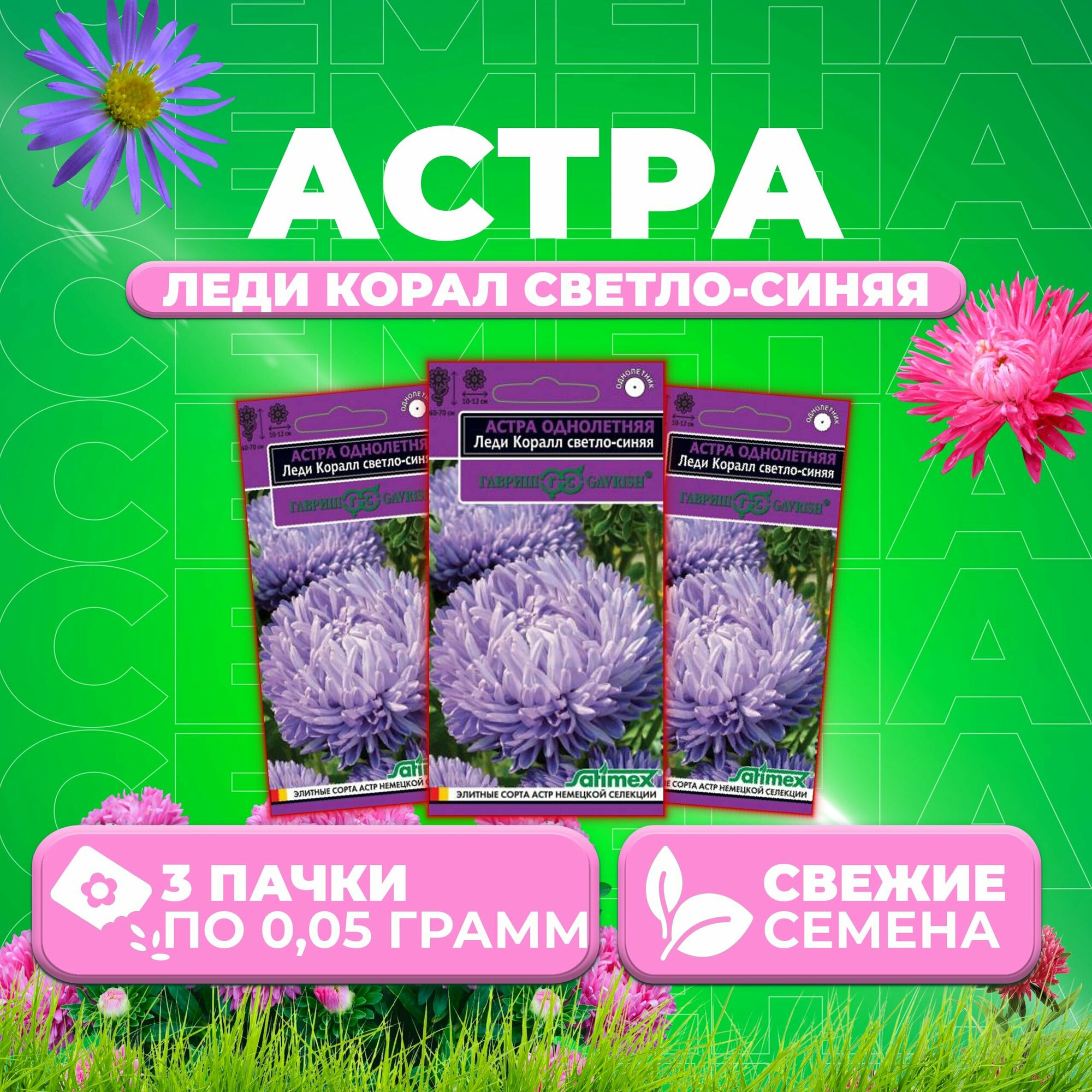 Астра Леди Корал светло-синяя, розовидная, 0,05г, Гавриш, Satimex (3 уп)