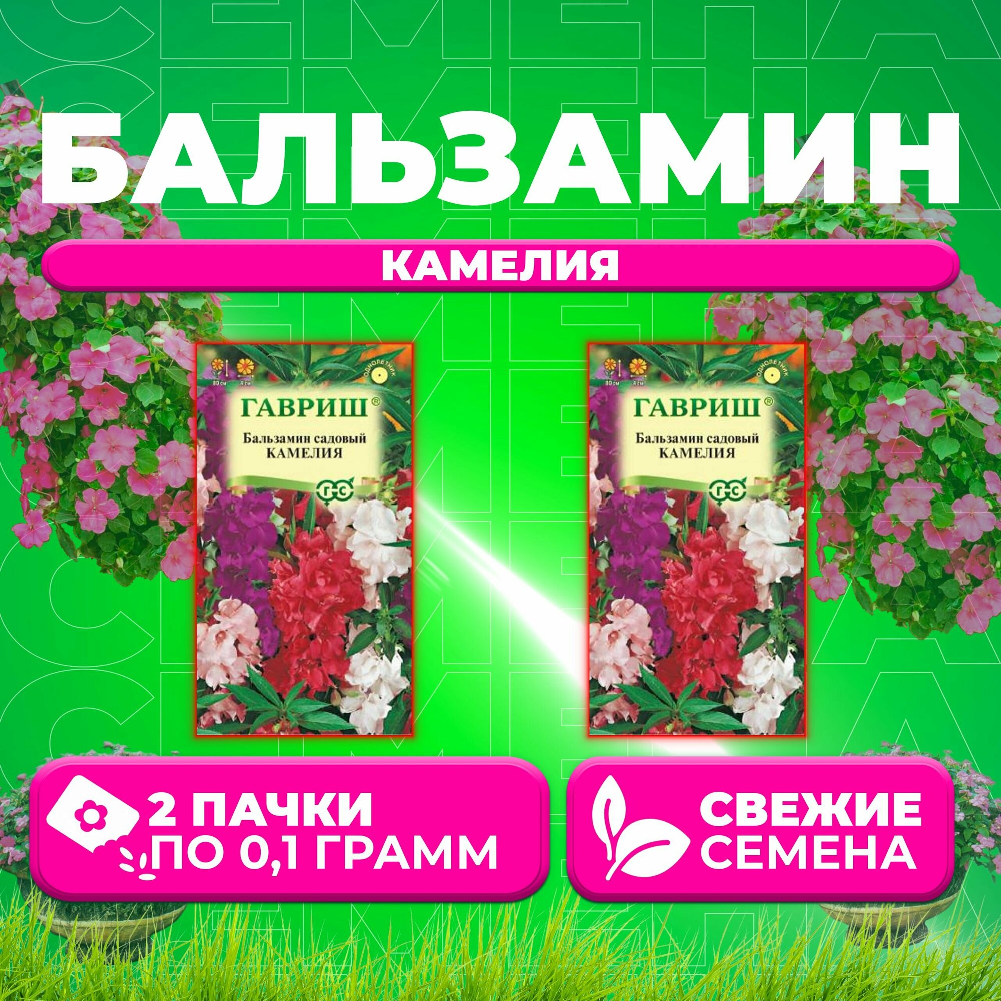 Бальзамин садовый Камелия смесь 01г Гавриш Цветочная коллекция (2 уп)