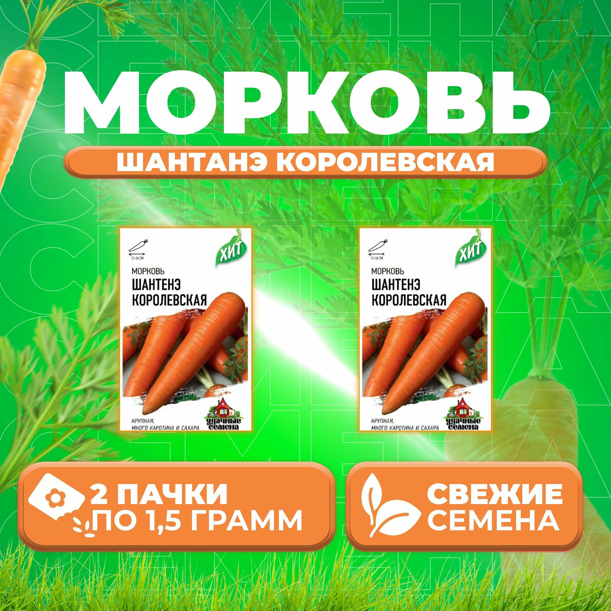 Морковь Шантенэ королевская 15г Удачные семена серия ХИТ (2 уп)