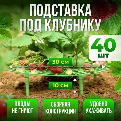 Подставка под клубнику, кустодержатель, опора для растений 40шт подставка под клубнику опора подпорка держатель садовый для кустов клубники растений цветов набор 30 штук