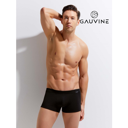 Трусы GAUVINE, размер XXL, черный мужские трусы боксеры белые gauvine 3002 l 48