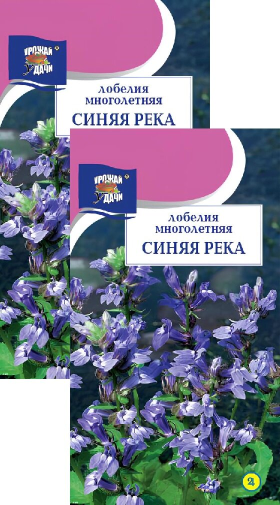 Лобелия многолетняя Синяя река (003 г) 2 пакета