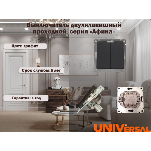 Выключатель двухклавишный проходнойАфина 350₽