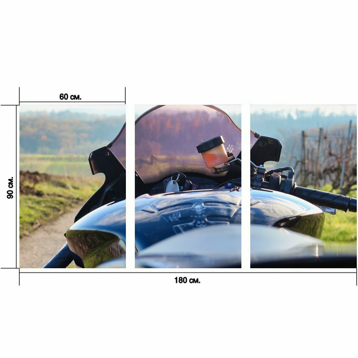 Модульный постер "Мотоцикл, спортивный мотоцикл, велосипед" 180 x 90 см. для интерьера
