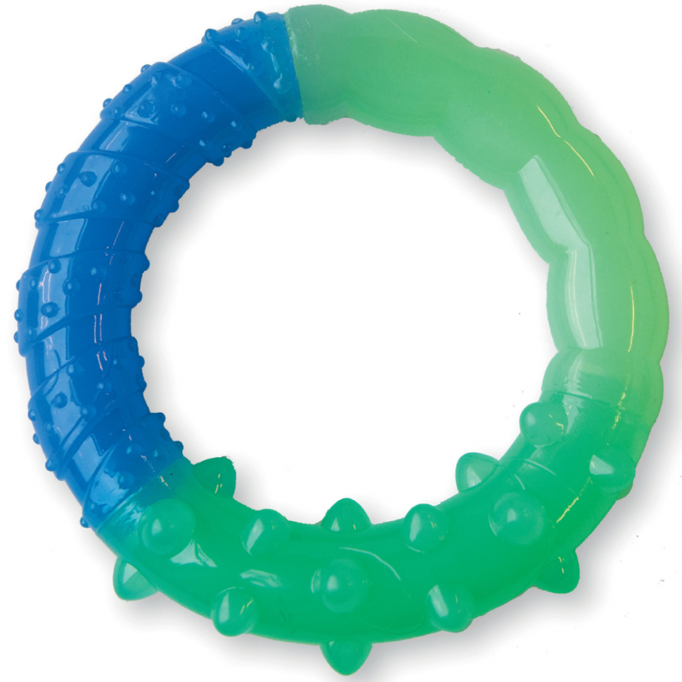 Игровое кольцо для собак Petstages / Пэтстэйдж Растем вместе, резиновое, голубое и зеленое диаметр 15см, толщина 1см / игрушка для животных