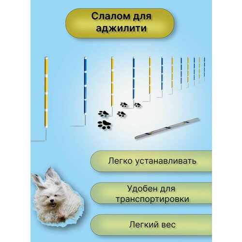 Слалом для аджилити (слалом для собак)