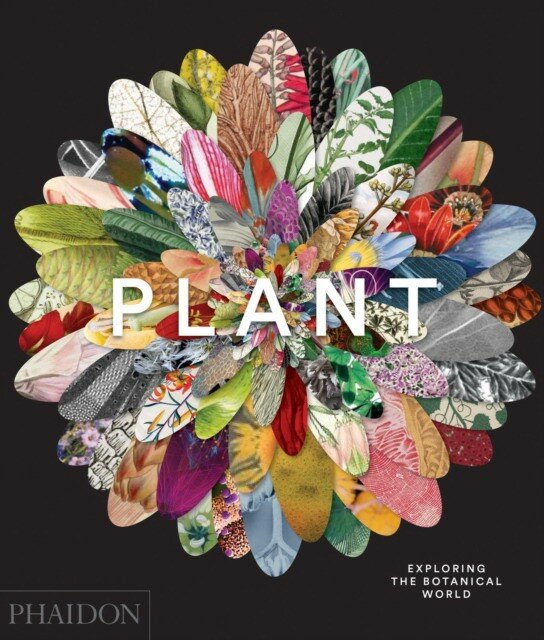 Plant: Exploring the Botanical World - фото №6