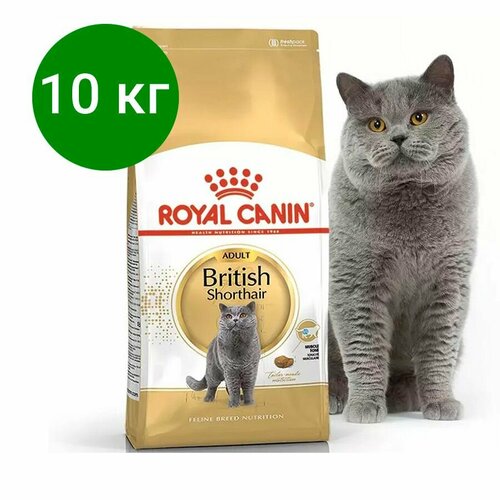 ROYAL CANIN BRITISH SHORTHAIR ADULT сухой корм для кошек Британской короткошерстной породы старше 12 месяцев, 10 кг корм полнорационный консервированный british shorthair adult соус 85гр для кошек британский короткошерстных с 12 месяцев 3 шт