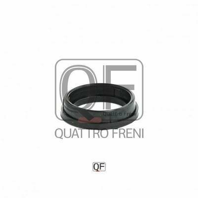 Кольцо уплотнительное свечного колодца QF53A00014 quattrofreni 1шт