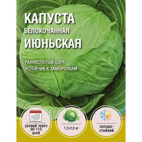 Капуста Июньская (1 пакет по 1гр)