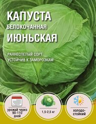 Капуста Июньская (1 пакет по 1гр)