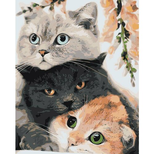 Картина по номерам Котики: Серый, черный и рыжий кот 40х50 живопись по номерам рыжий кот мадонна литта 40x50