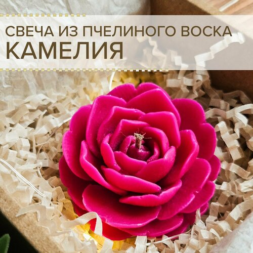 Свеча Камелия, подарок к 8-му Марта